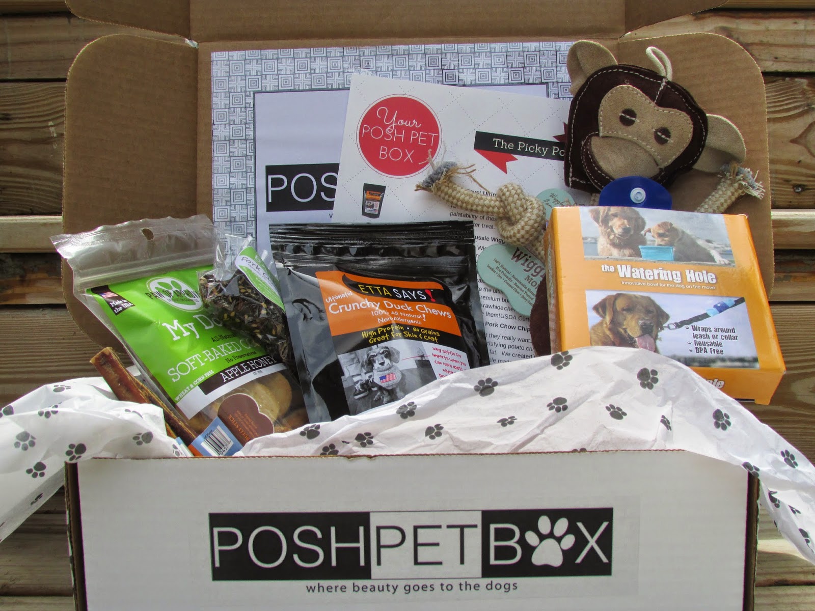 My Rotten Dogs Beauty Goes to the Dogs Posh Pet Box Review and
