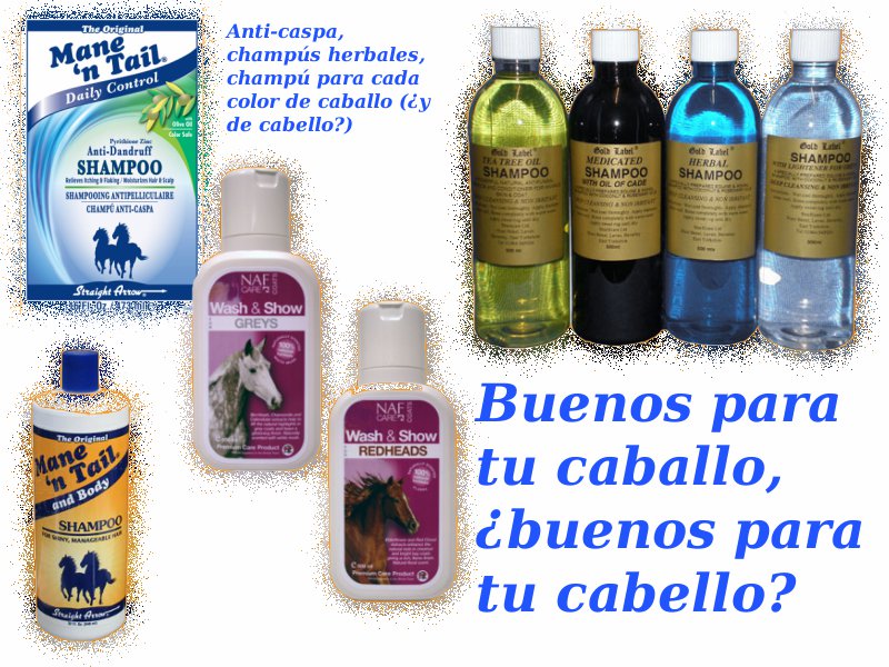 SADIE & GEN Chevaux Cheveux