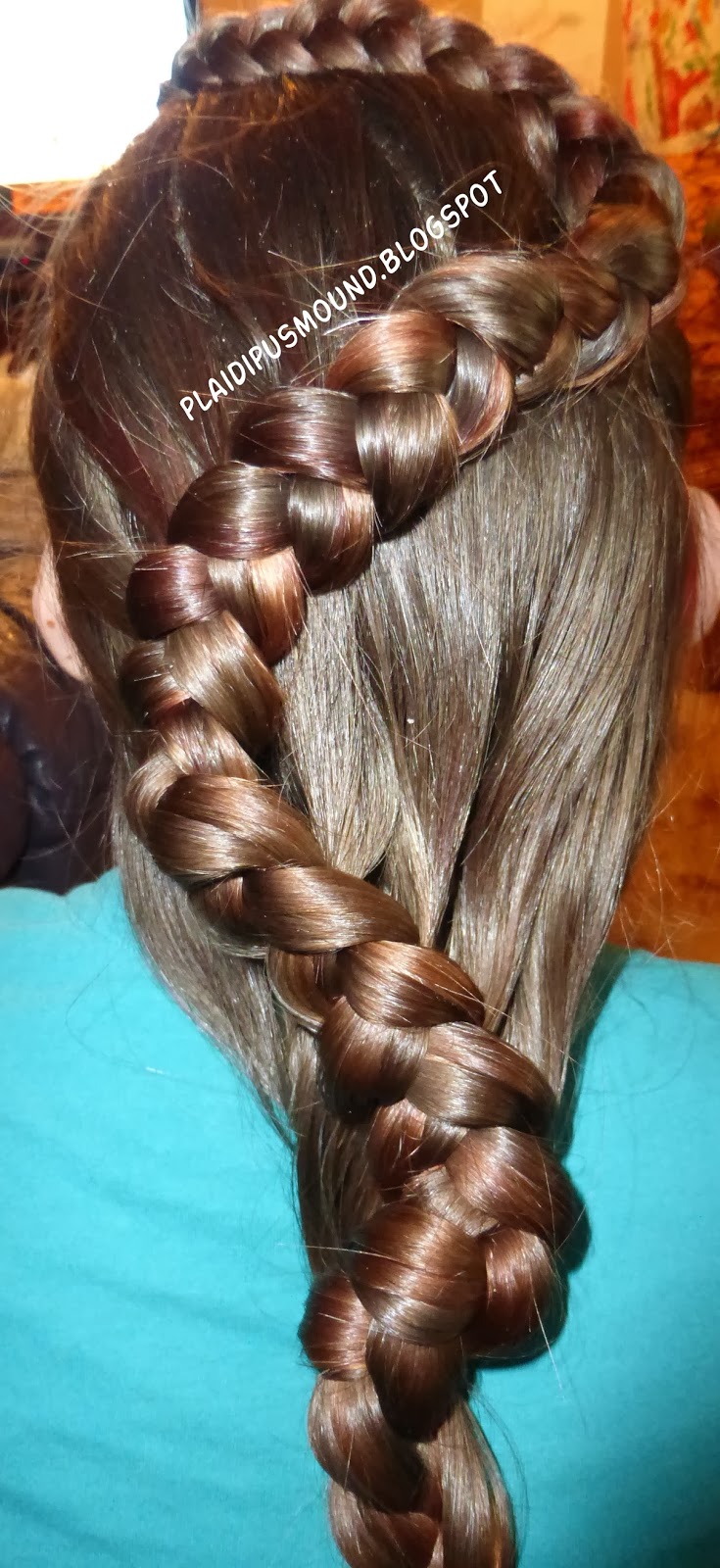 Plaidipus Mound Coiled Snake Braid