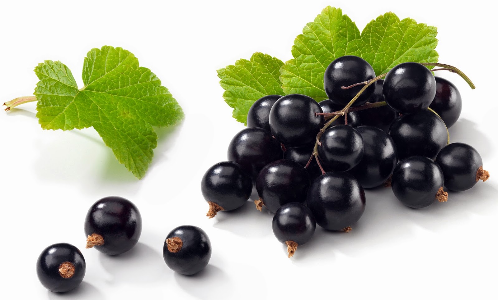 6 Health Benefits OF Blackcurrant Fruit Healthy Fitness Tips