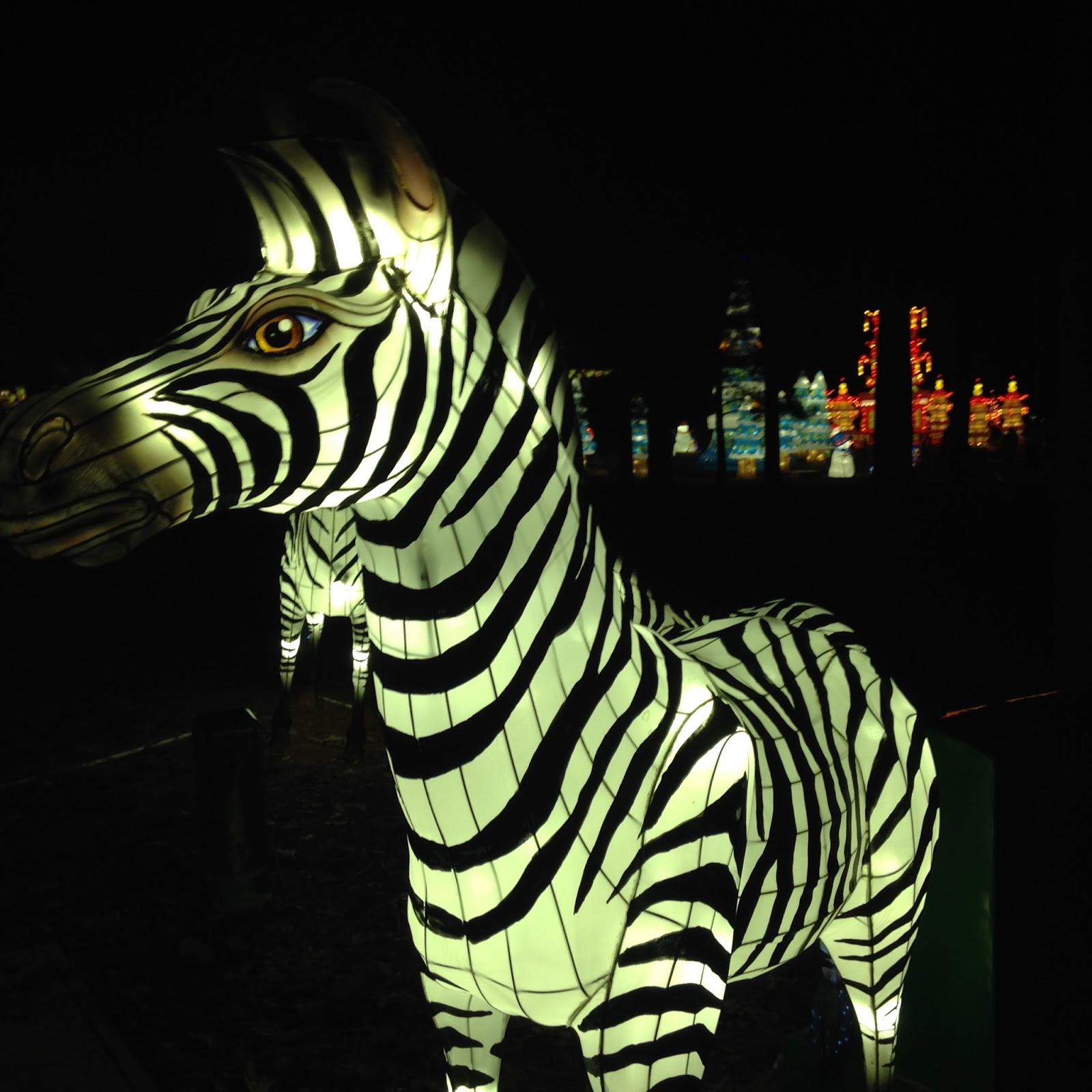 Cary, North Carolina Chinese Lantern Festival Extended Until January 17