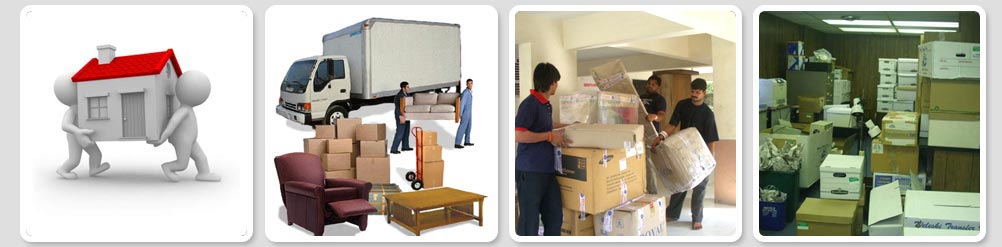 Top 3 Packers and Movers in Noida
