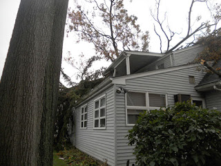 Roof Deck damaged by falling tree after Hurricane Sandy