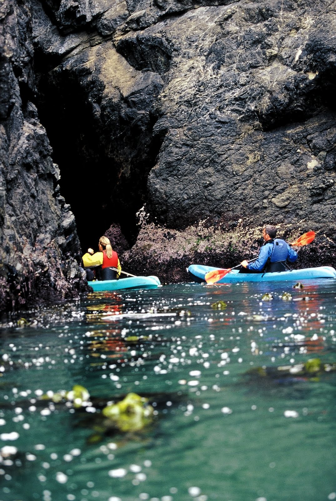 Kayak Mendocino, About Professionally guided Ocean kayak tours on the