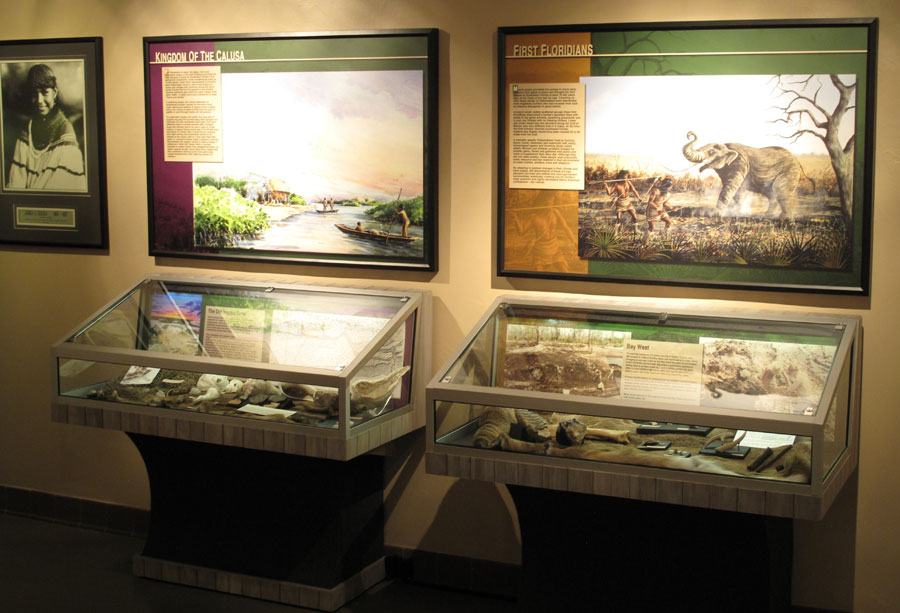 Display Case Museum Exhibit Display Cases Museum Information Center