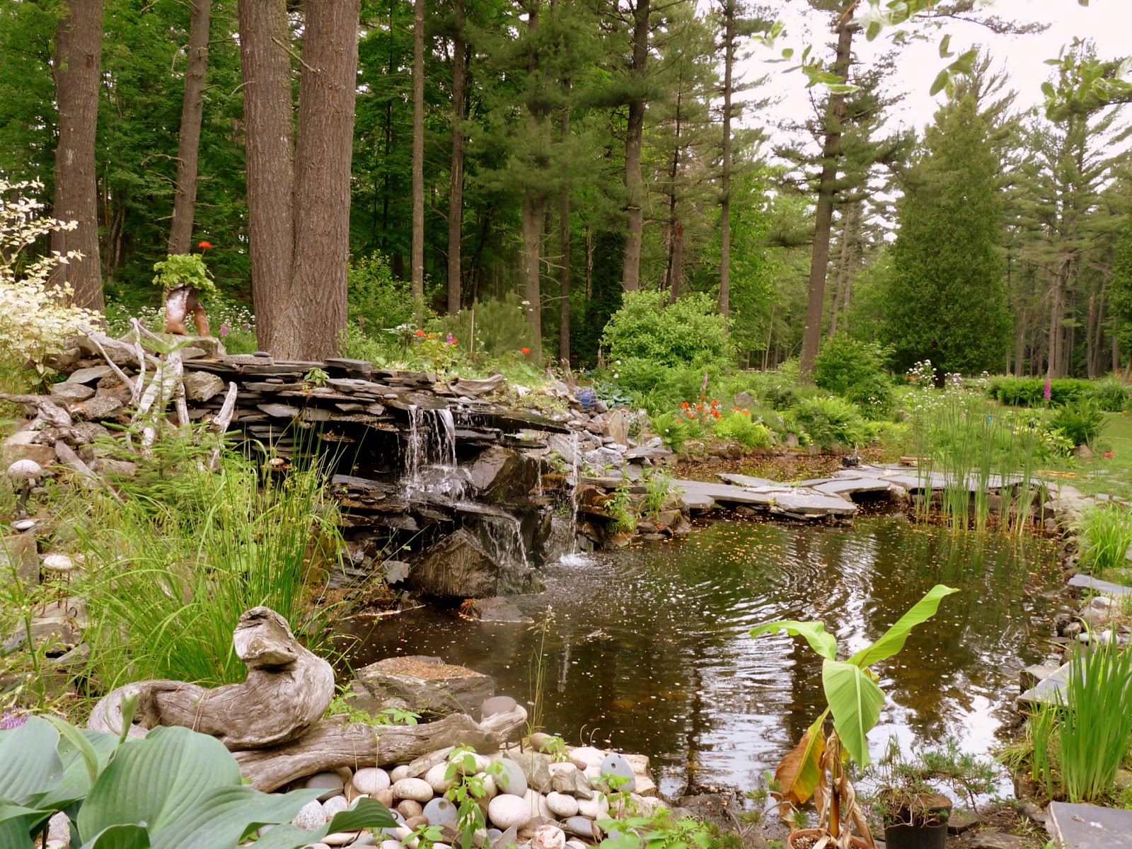 The Retirement Chronicles Revisiting a Late Summer Garden Part TWO