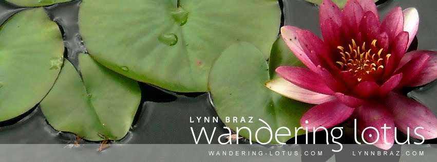 Wandering Lotus Recipes