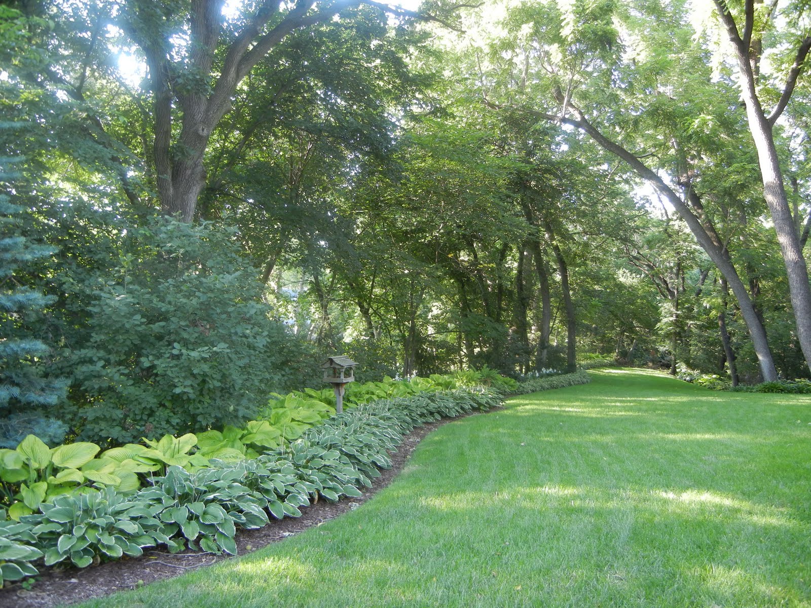 The French Tangerine kelly's garden