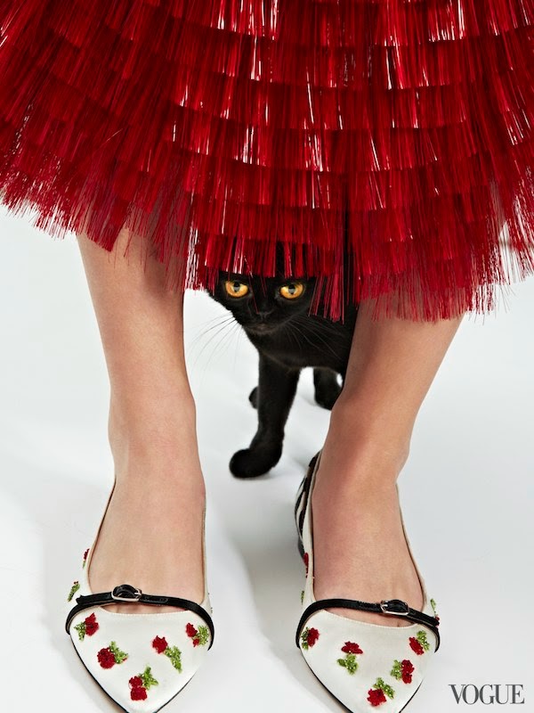 The Terrier and Lobster: Designer Animal Shoes