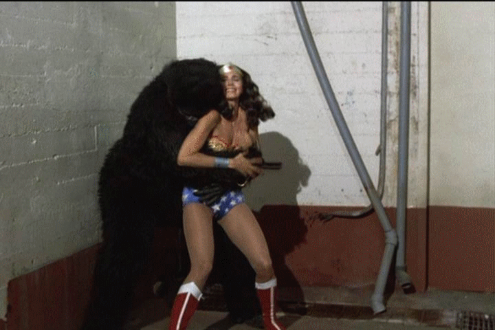 Wonder Woman and The hetro Gorilla