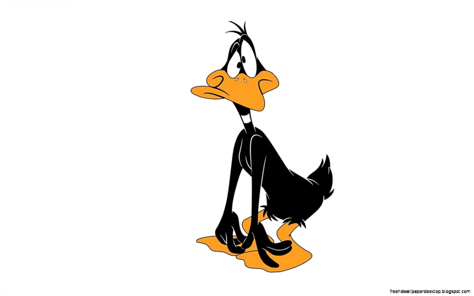 Funny Cartoon Daffy Duck Hd Wallpaper Wallpaper List Funny Cartoon Daffy Duck Hd Wallpaper Wallpaper List