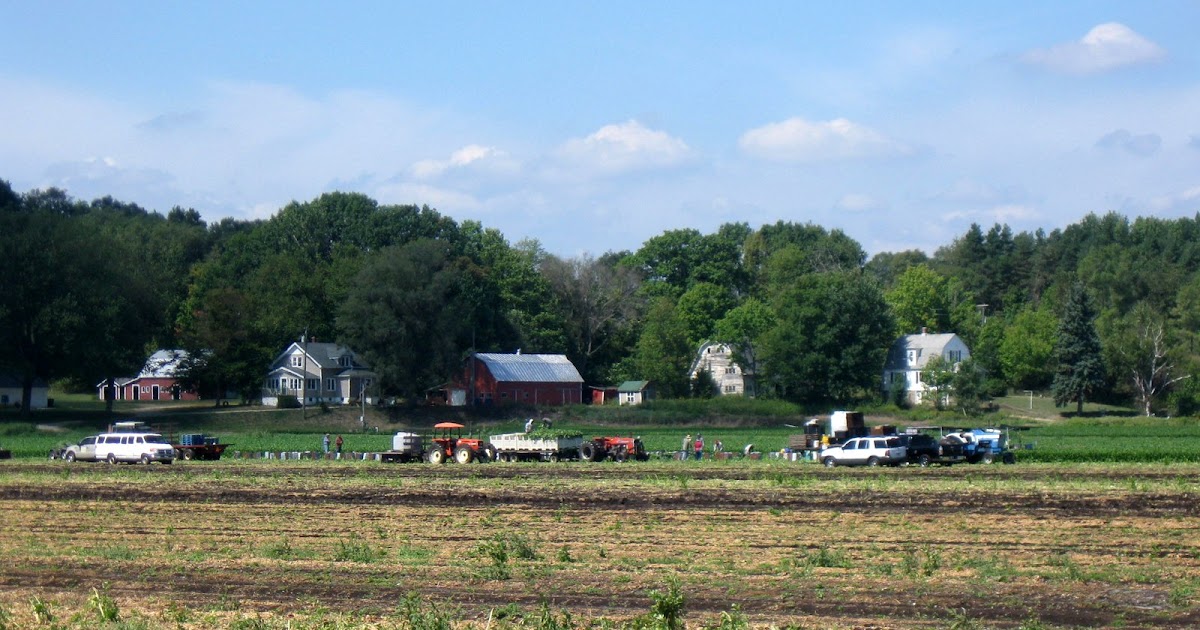 My Little Corner of the World Muck farm!