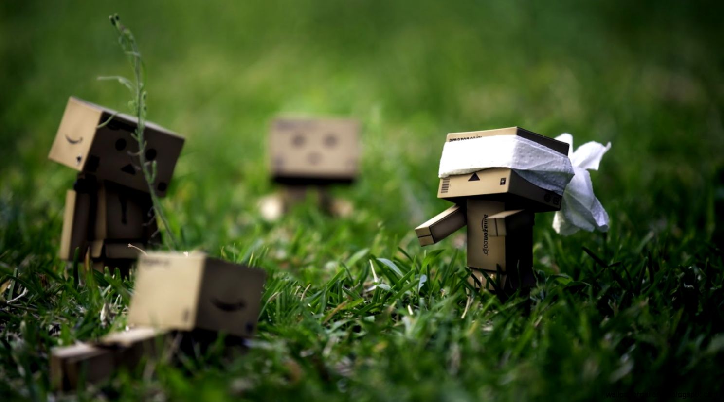 Danbo Game HD Wallpaper 5033 Wallpaper Danbo Game HD Wallpaper 5033 Wallpaper
