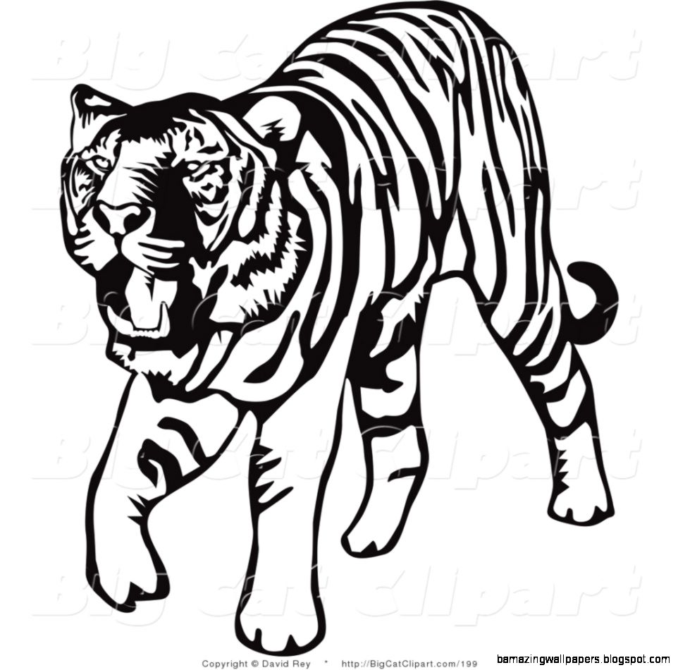 Running Tiger Clipart Black And White Clipart Panda Free Running Tiger Clipart Black And White Clipart Panda Free