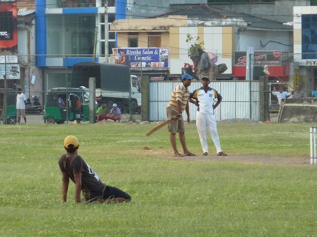 le cricket au Sri Lanka