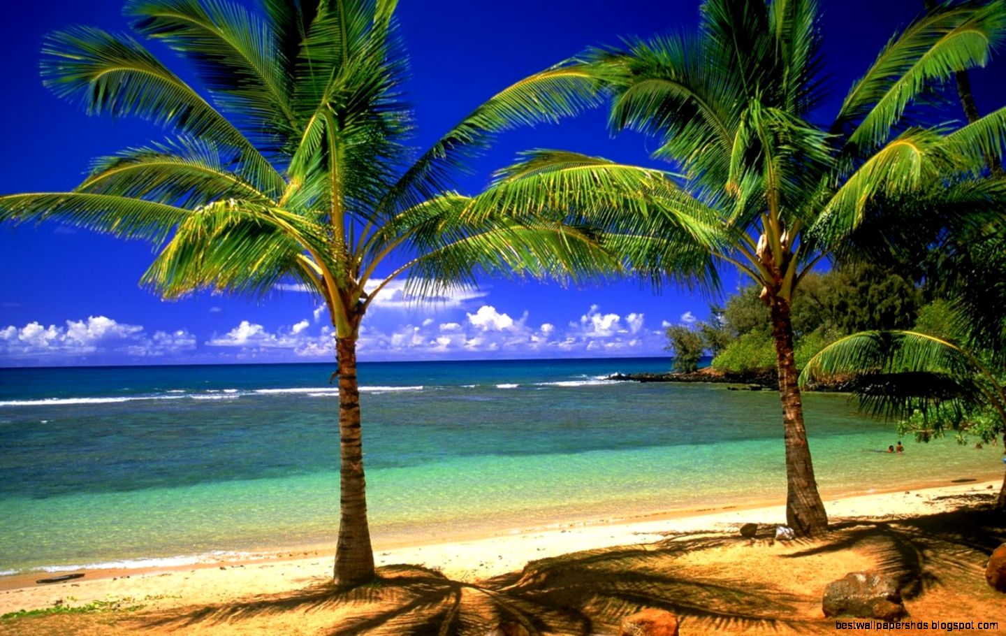 Summer Desktop Wallpapers HD wallpapers n Summer Desktop Wallpapers HD wallpapers n