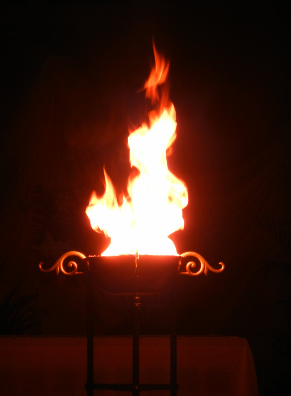 Hamburger Wahlbeobachter Politiker Auf Instagram Wie Nutzen