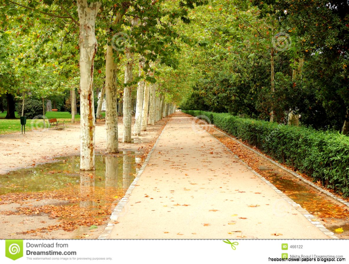Park Alley Stock Photography Image 466122 Park Alley Stock Photography Image 466122
