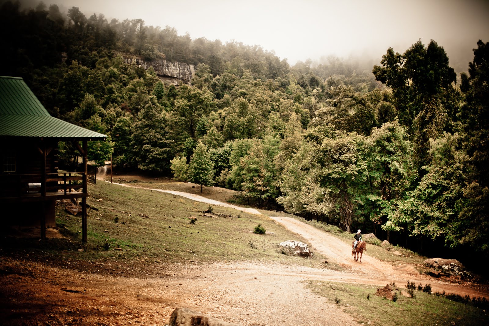 alive 24 Hours of Horseshoe Hell 2011