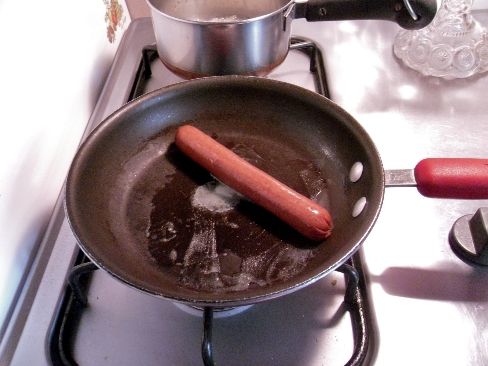 Quarter Life Crisis Howto Make the Perfect Hot Dog!