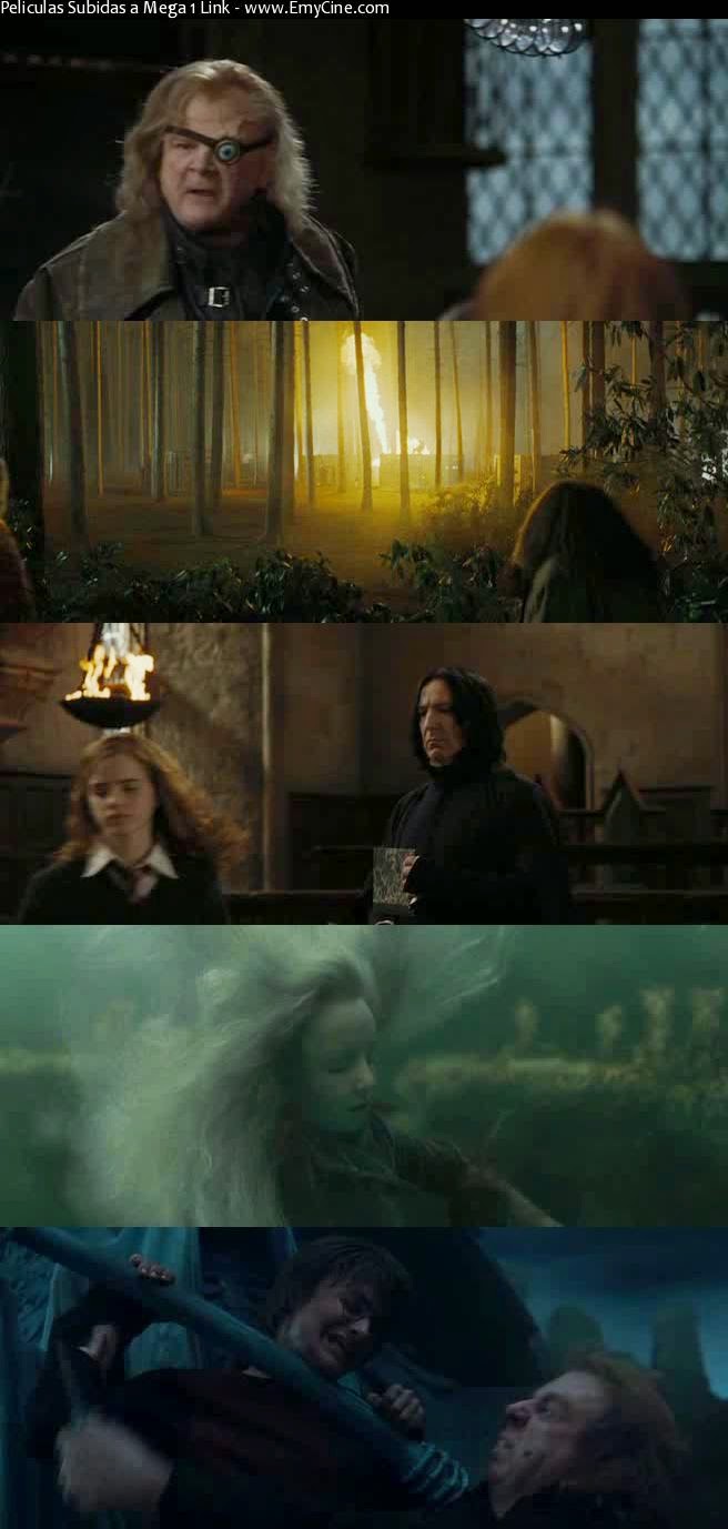 Ver Harry Potter 4 y El Caliz de Fuego Online