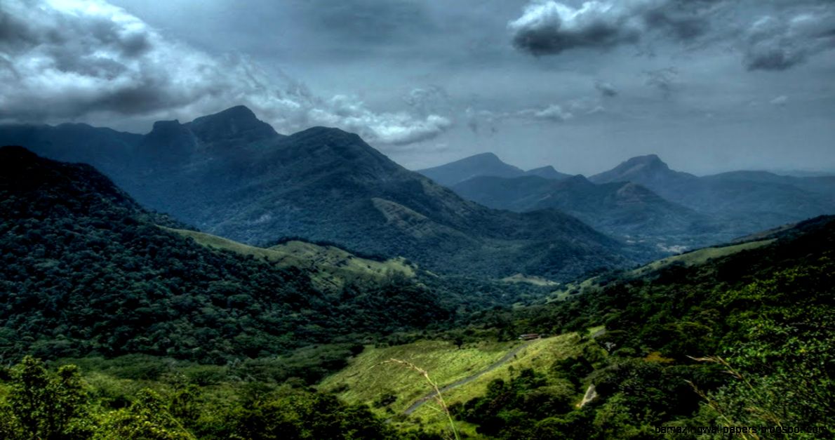 Nature Video Evergreen Forest of Mahabaleshwar YouTube Nature Video Evergreen Forest of Mahabaleshwar YouTube