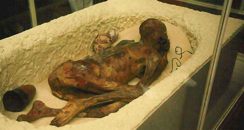 mummy mummy