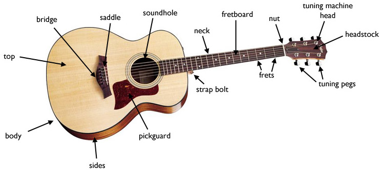 the parts of the guitar the parts of the guitar
