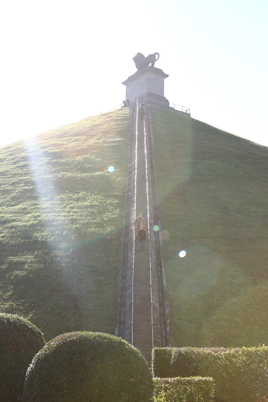 Butte De Lion