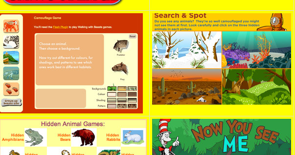 Kids with a View: Animal Camouflage