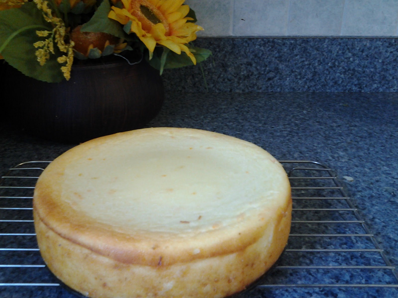 Taste the Rainbow Lidia's Torti di Ricotta