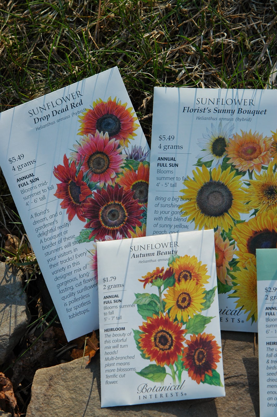 deborah jean's DANDELION HOUSE and GARDEN Farmgirl Friday Blog Hop