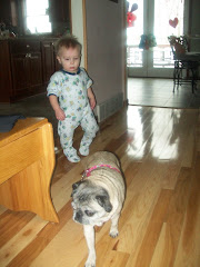 Chasing.....the puggy!