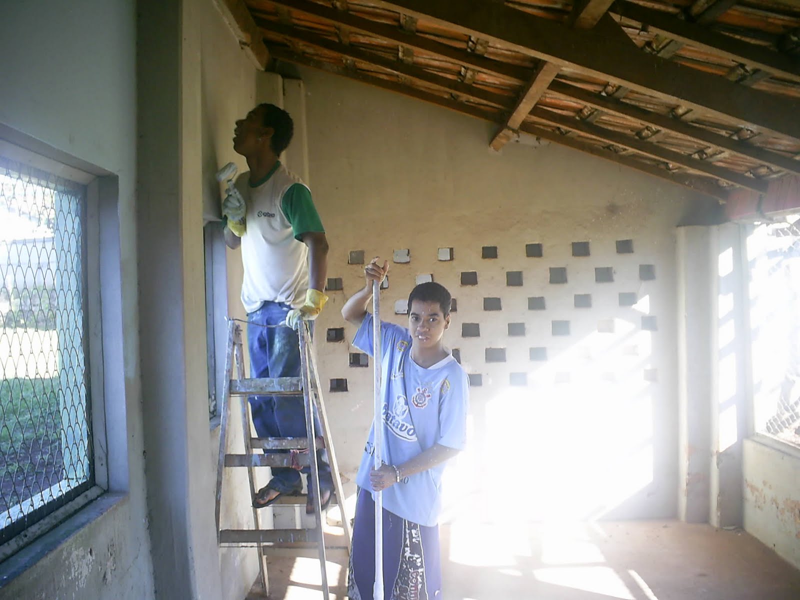 Viveiro Com Codornas