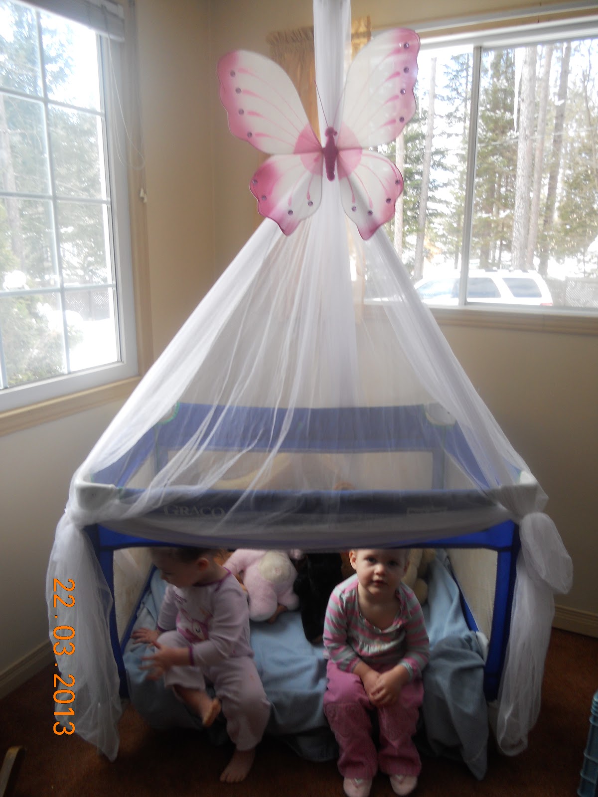 An Everyday Life Fun in a playpen