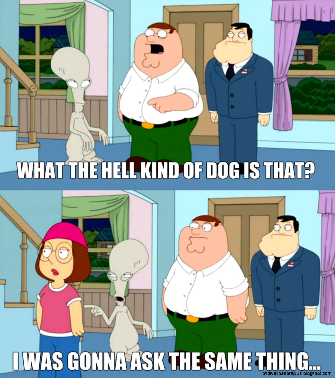 Family Guy gets me every time funny Family Guy gets me every time funny
