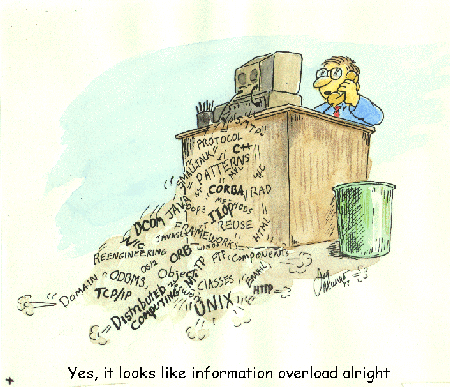 Computer Overload