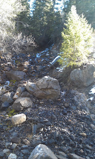 Mineral Fork Trail