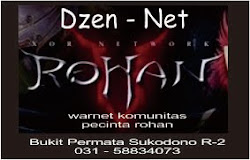 dzen net