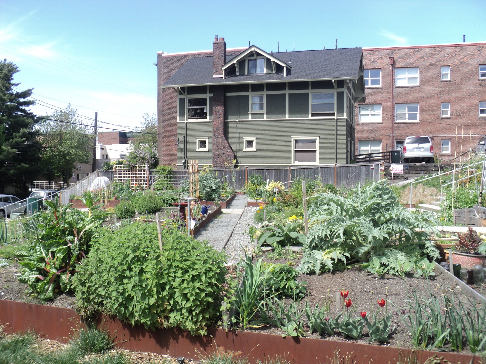 Walking Seattle Neighborhoods: Broadway Neighborhood of Capitol Hill