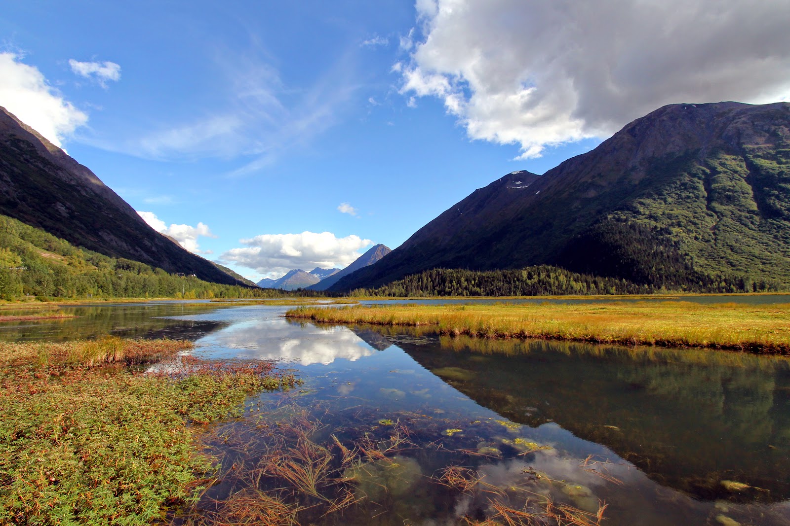 mitcheci photos Alaska Kenai Peninsula