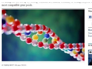 DNA紅娘網站 德國