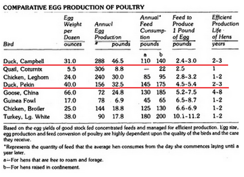 Duck Egg Production Chart
