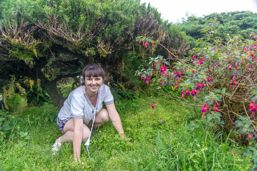 Doi Inthanon National Park