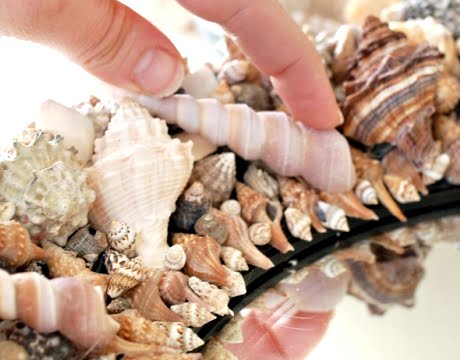 making shell frame