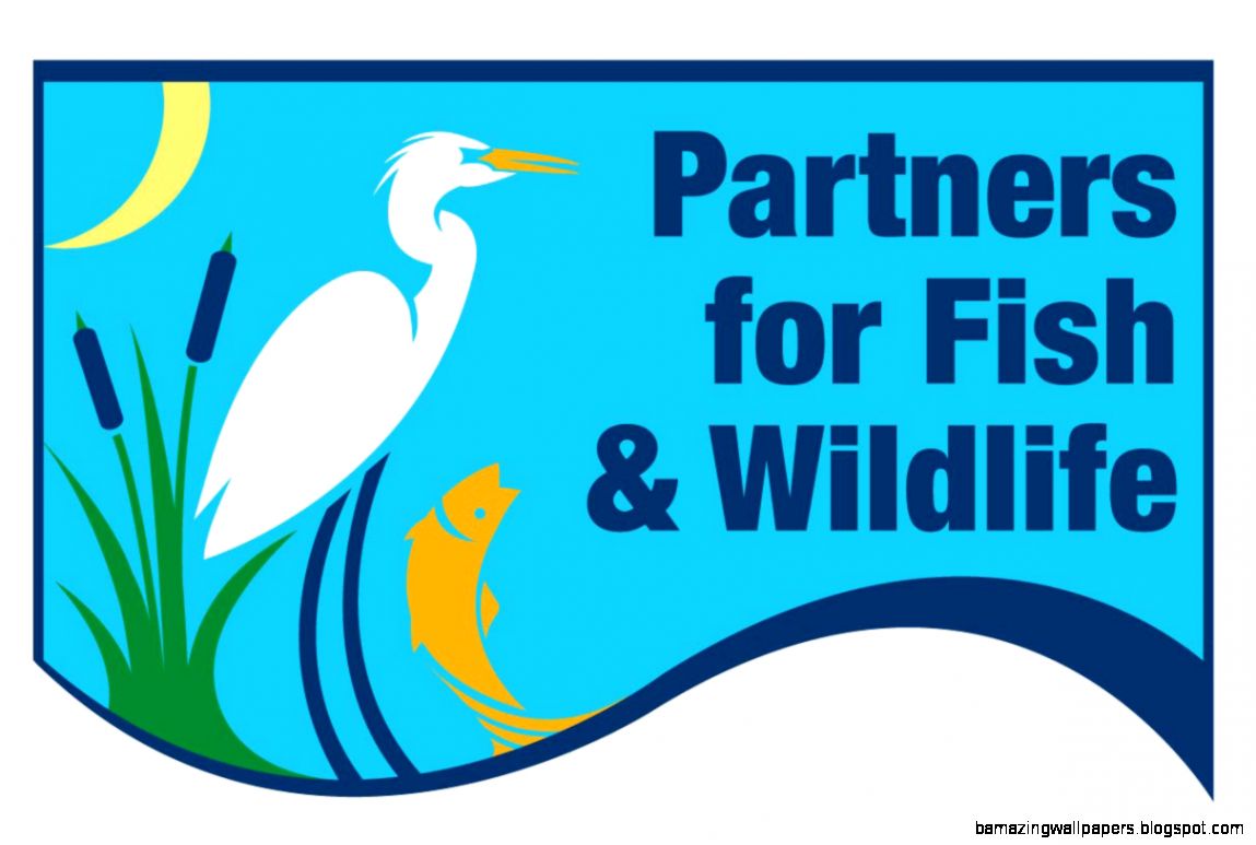 Alaska Region Juneau Fish amp Wildlife Field Office Alaska Region Juneau Fish amp Wildlife Field Office