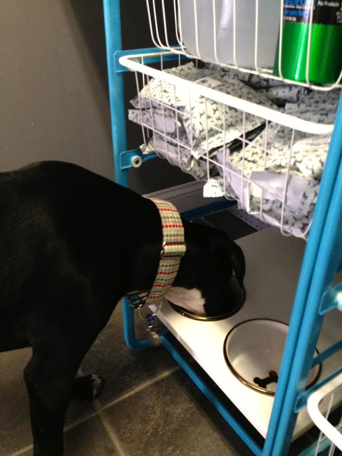Dog Feeding Station (IKEA Hack)