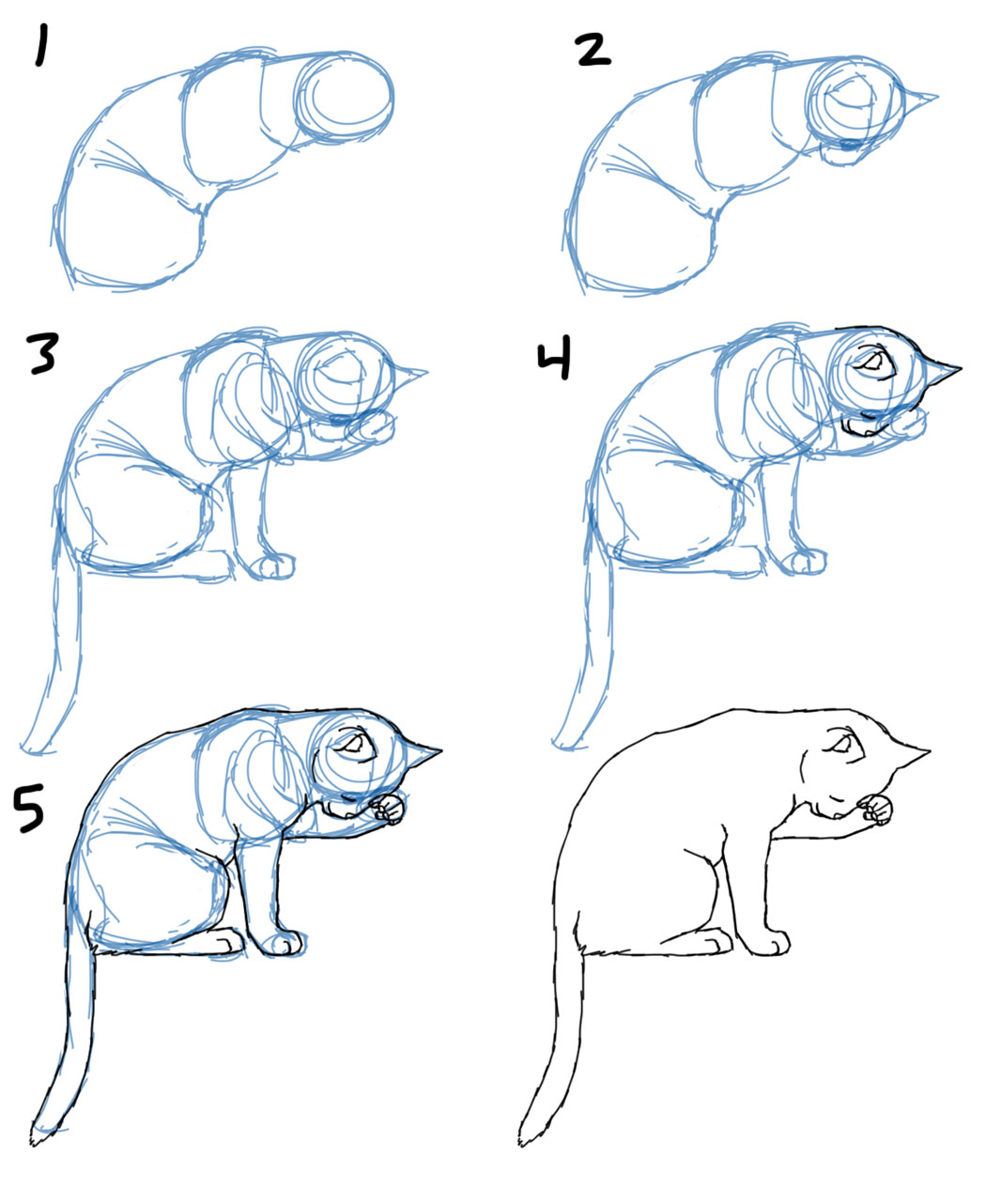 Featured image of post Poses Cat Laying Down Drawing This is another study of cat anatomy and poses