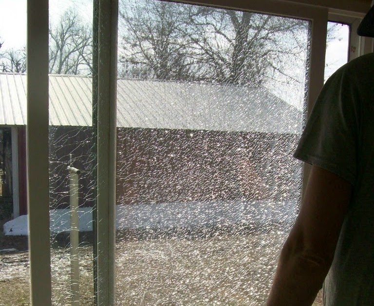 Dairy Daze Shattered Patio Door