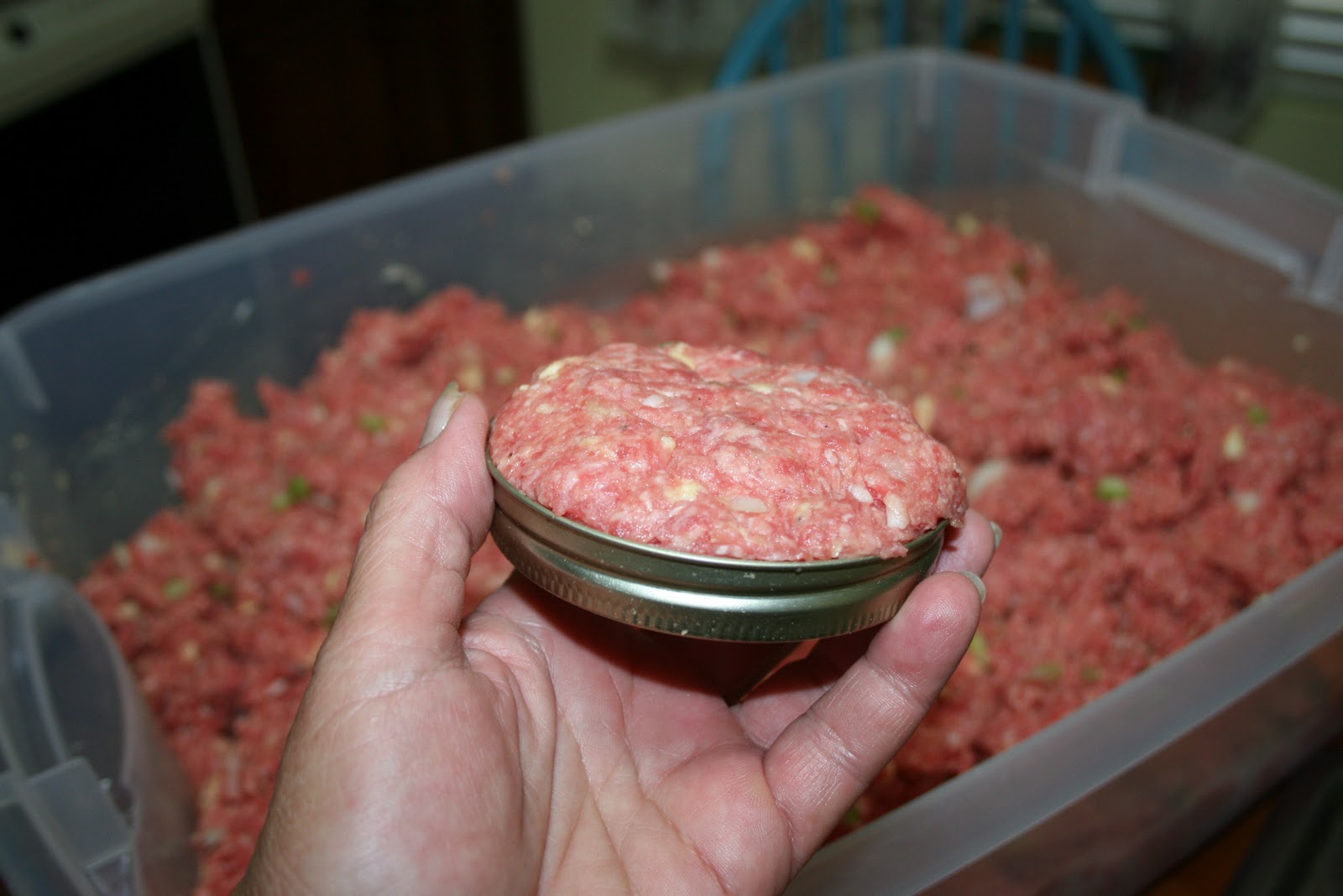 Challenged Survival Canning Amish Poor Man's Steak and everything in